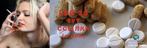 стаф Осинники