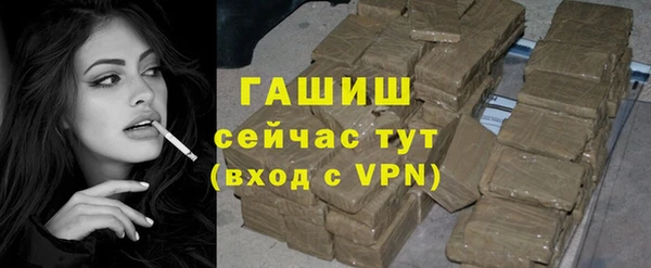 стаф Осинники