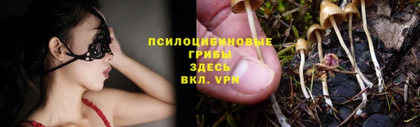 таблы Осташков