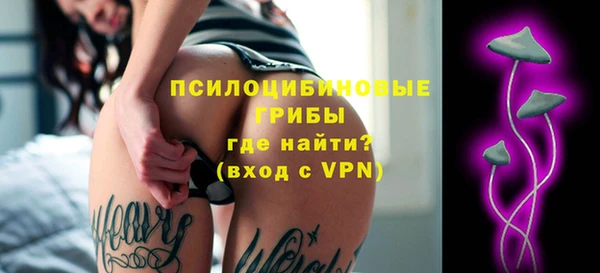 сатива Арсеньев