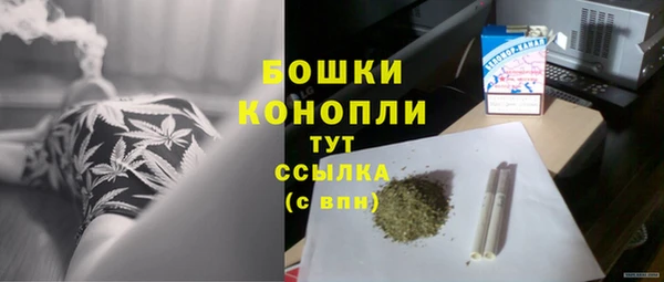 стаф Осинники