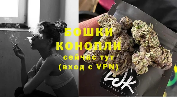 стаф Осинники