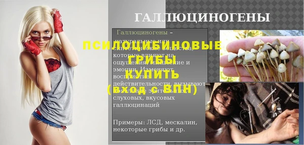 стаф Осинники