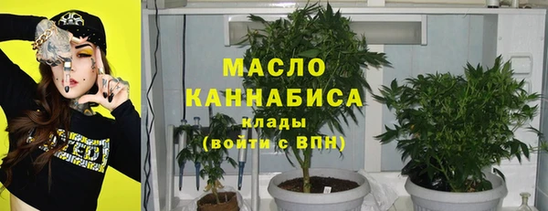 стаф Осинники