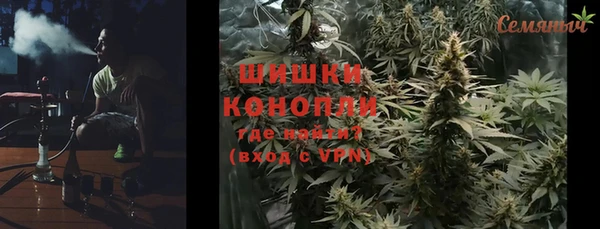 стаф Осинники