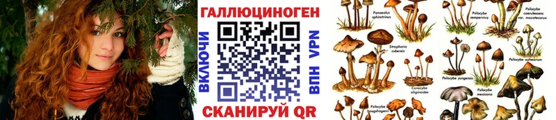 Псилоцибиновые грибы мицелий  где найти   Холм 